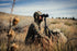 Frontcountry Tripod